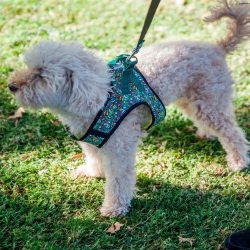 Arn&eacute;s Pamppy C&oacute;mic Mouth para perros, , large Imagen numero 3