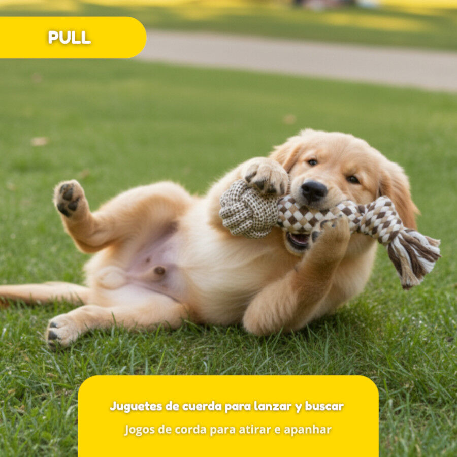 Tootoy! Mordedor de Cuerda con Pelota para perros, , large Imagen numero 5