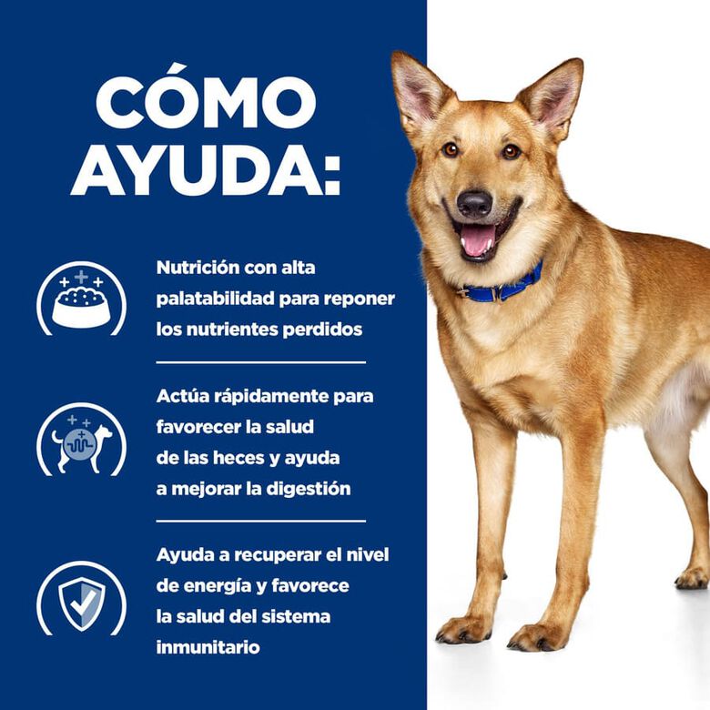 Hill&#039;s Prescription Diet Digestive Care i/d Pollo pienso para perros thumbnail