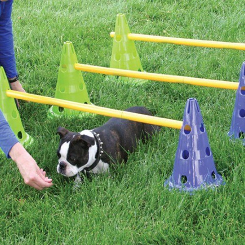 Kit de agilidad y coordinación para perros, , large image number null