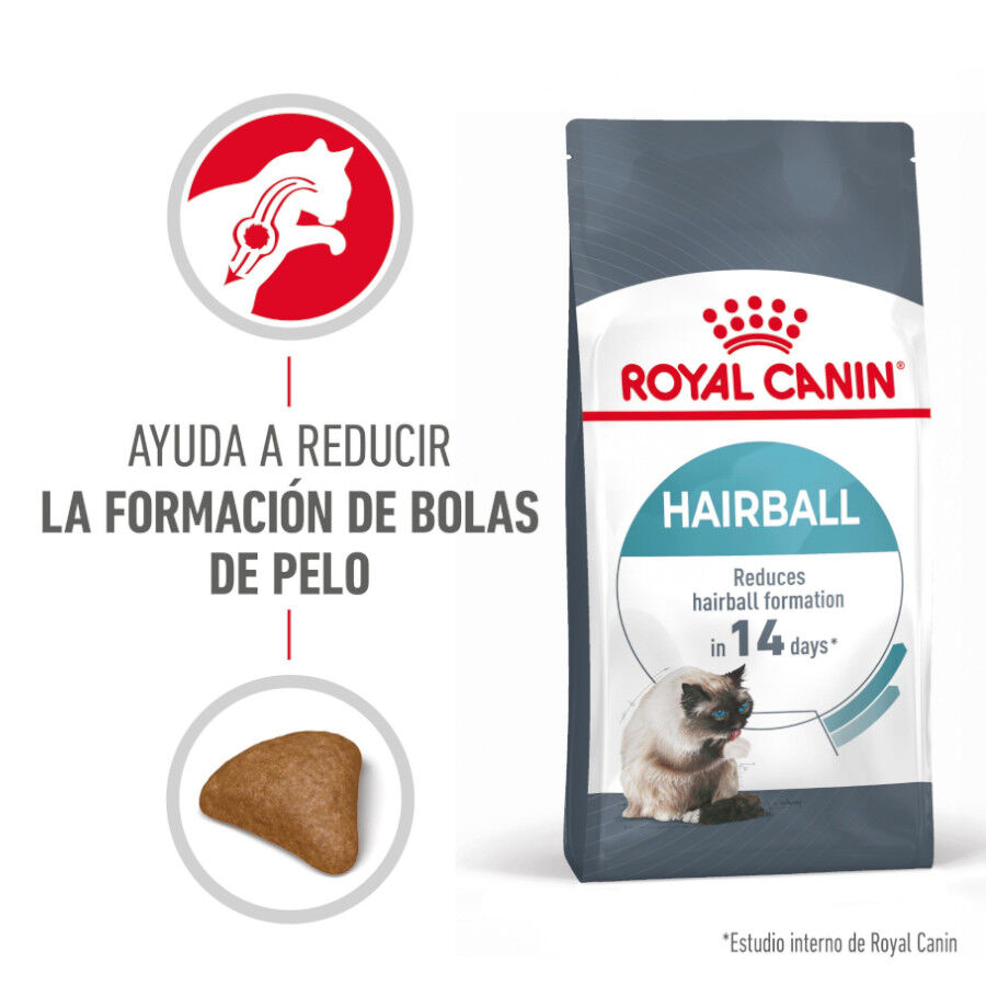 Royal Canin Intense Hairball pienso para gatos thumbnail