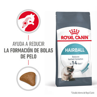 Royal Canin Intense Hairball pienso para gatos