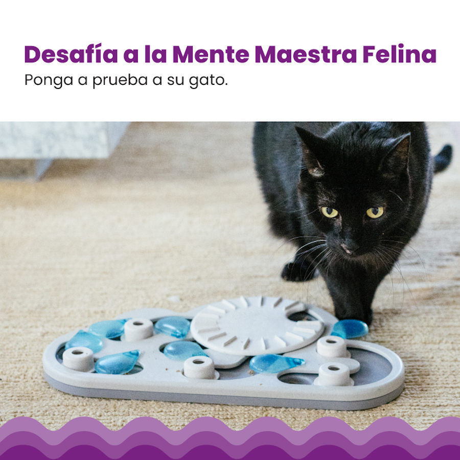 Catstages Nina Ottosson Puzzle &amp; Play Rainy Day Juguete de Inteligencia para gatos thumbnail