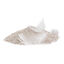 Weego Light + arena aglomerante para gatos, , large indicador imagen numero 2