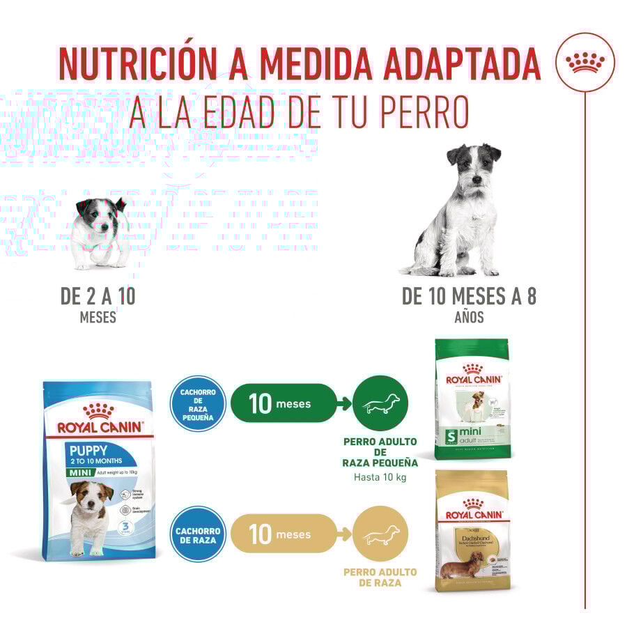 Royal Canin Mini Puppy pienso para perros thumbnail