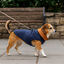 Outech Abrigo Estilo Aviador Rosa y Azul para perros, , large indicador imagen numero 1