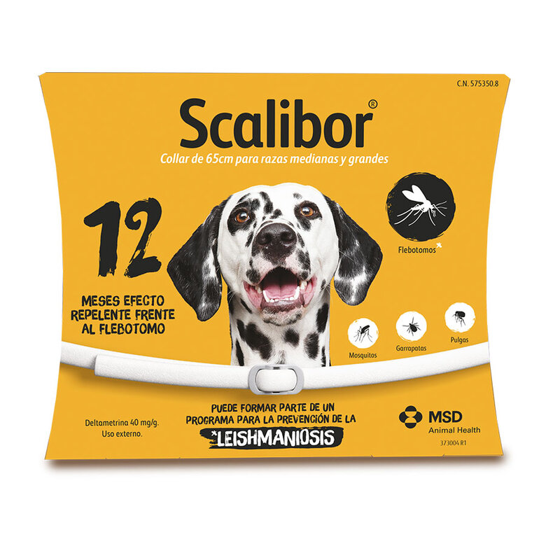 repentino Vuelo Calumnia Collar Scalibor para Perros