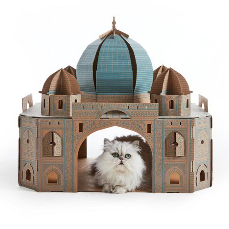 Casita Landmarks Taj Mahal Poopy Cat color Marrón y Azul, , large image number null