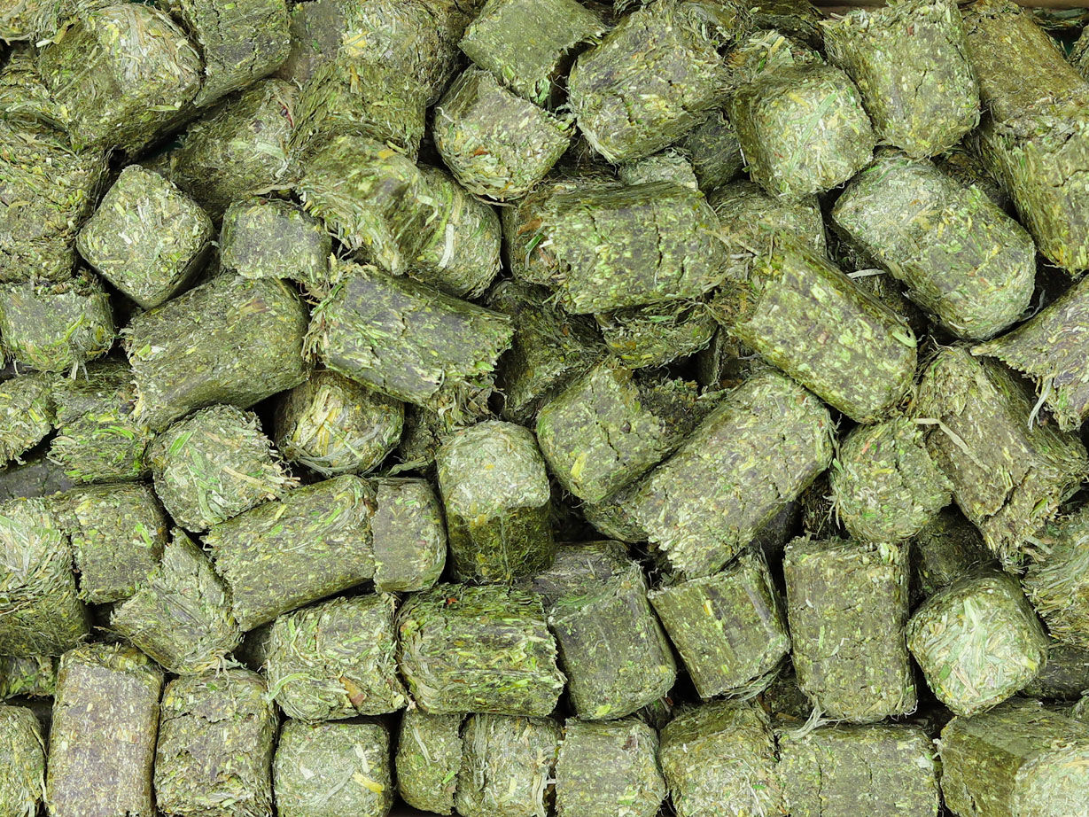 Cubos de heno de pradera Linasson 20kg, , large Imagen numero 2