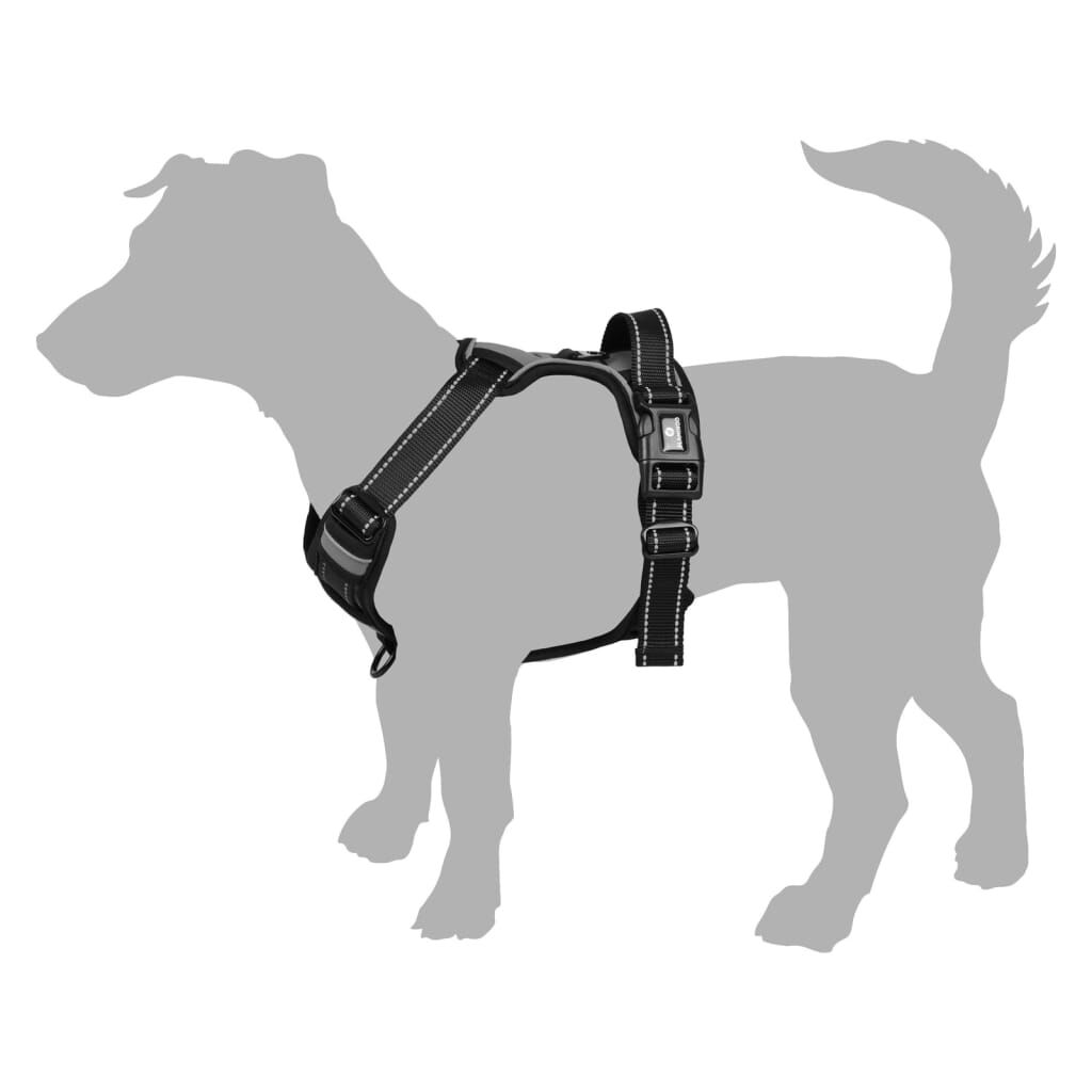 Arn&eacute;s Para Perros, , large Imagen numero 25