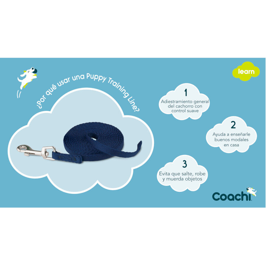 Coachi correa de adiestramiento azul para cachorros, , large Imagen numero 3