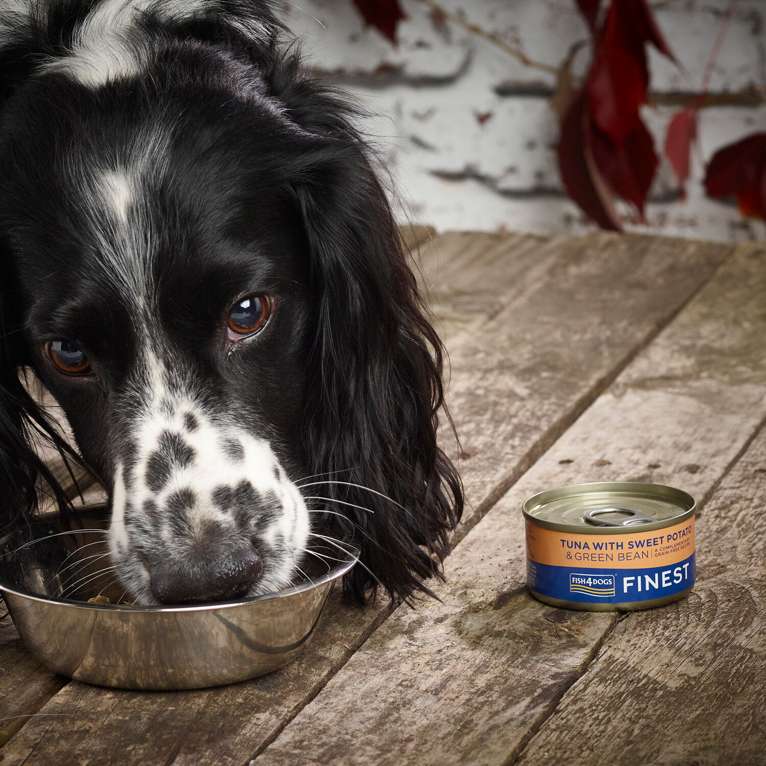 Fish4Dogs Comida húmeda Atún y Boniato para perros thumbnail