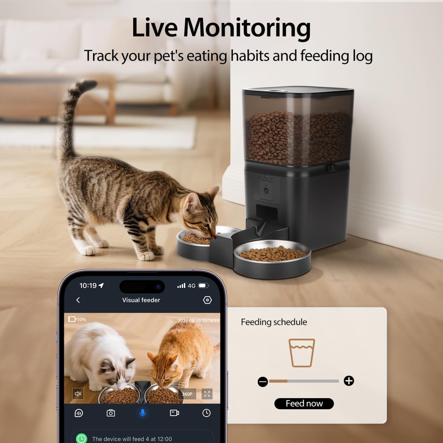 Nobleza Comedero Gato Automático 6L con Cámara 1080P 120°: App Control, WiFi 5G/2.4G, Audio Bidireccional, Llamadas Mascotas, Detección Movimiento + Sello Hermético ¡Control Remoto Total! thumbnail