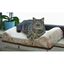 Cama de gato para ventana color Beige, , large indicador imagen numero 4