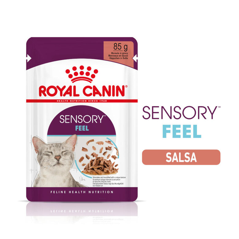 Royal Canin Adult Sensory Feel salsa sobre para gatos, , large image number null