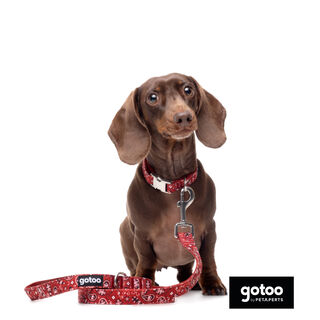 Gotoo Correa estampada cachemira rojo para perro