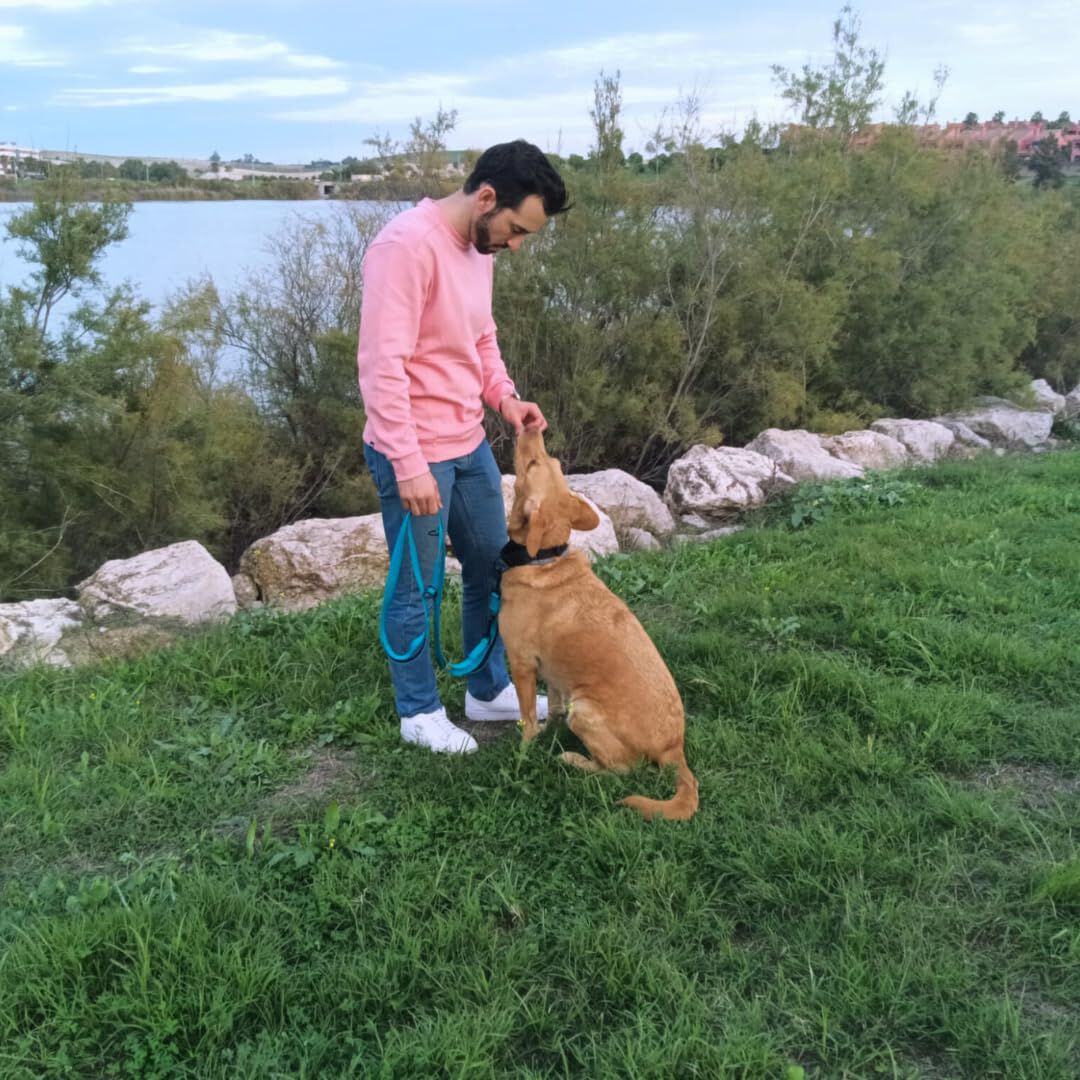 EGV - Correa multiposicion 2,50 metros de longitud. Hebillas ajustables (Verde Agua), , large Imagen numero 5