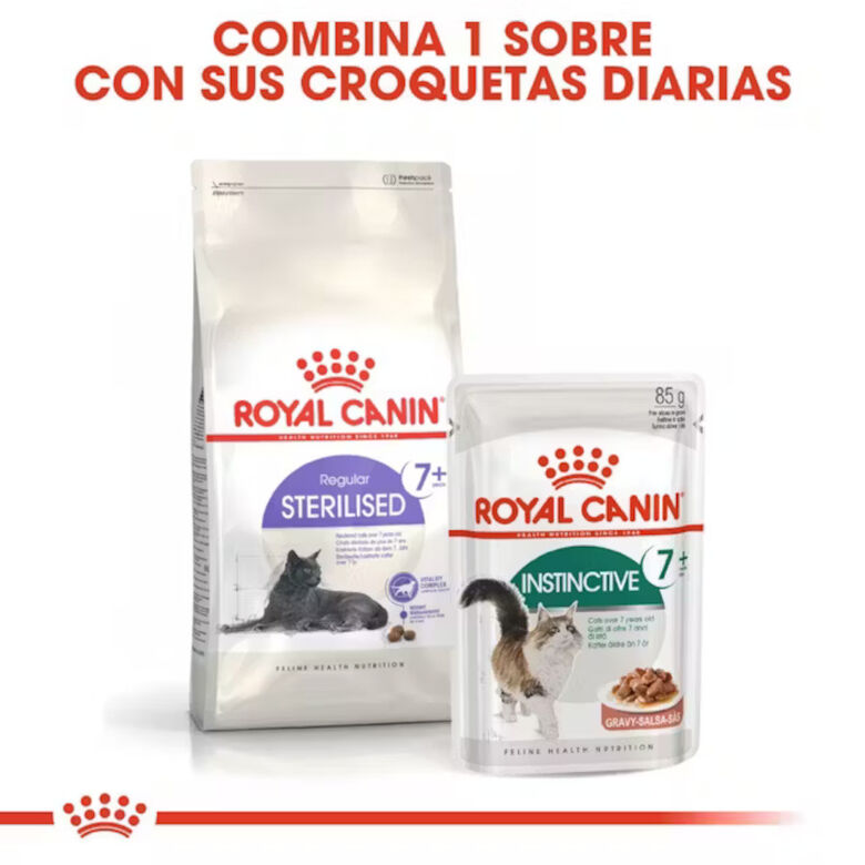 Royal Canin Adult 7+ Regular Sterilised pienso para gatos thumbnail
