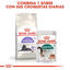 10 kg Royal Canin Sterilised 7+ pienso para gatos, , large indicador imagen numero 8