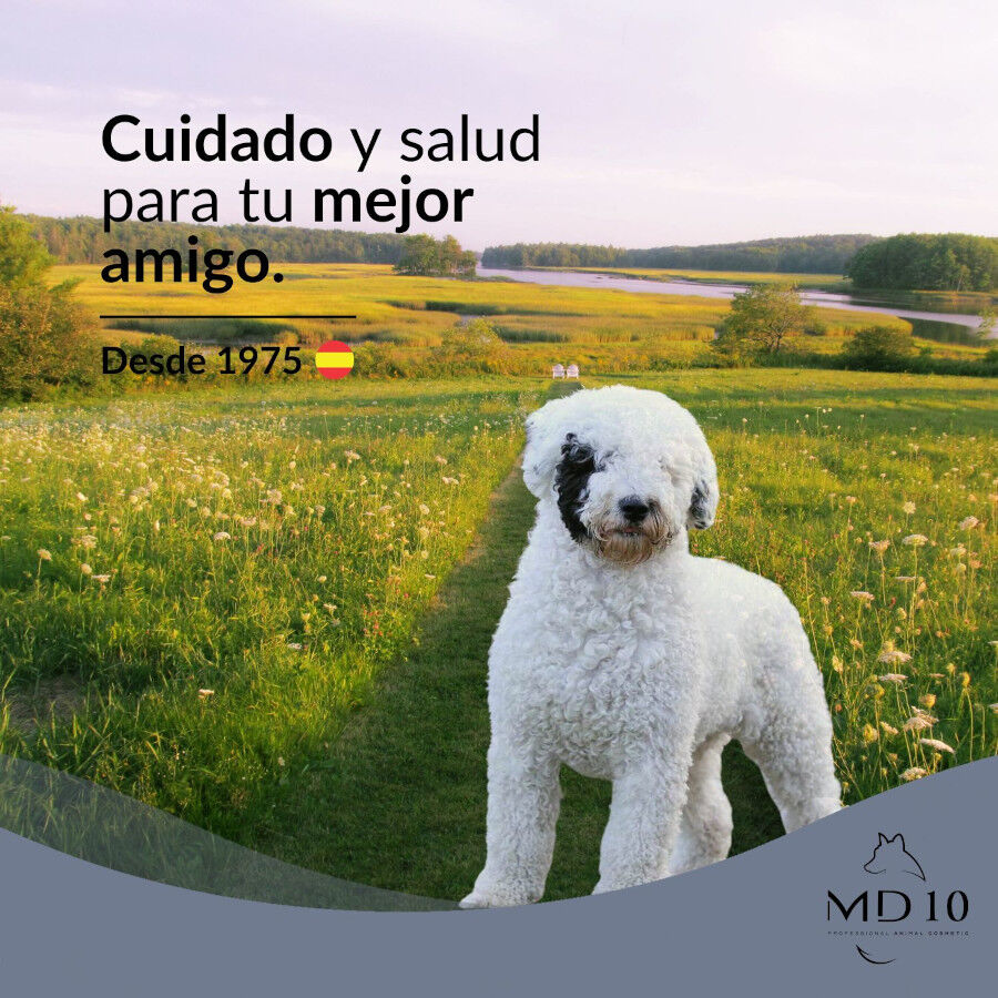 MD-10 Champú Hidratante vegano para perro de Agua Español Blanco thumbnail