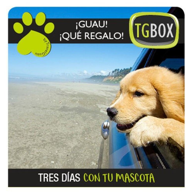 Tres días con tu mascota TGBOX, , large image number null