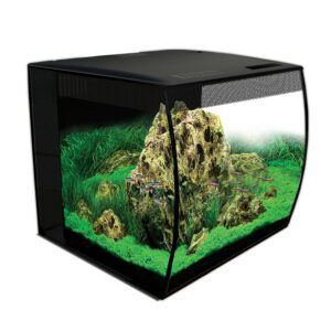 Fluval Flex Kit Acuario, Blanco, 34L, , large Imagen numero 2