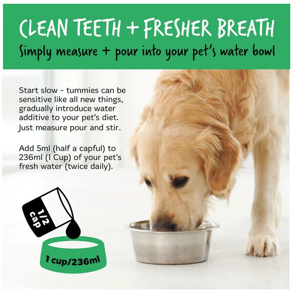 Soluci&oacute;n dental para el agua, , large Imagen numero 3