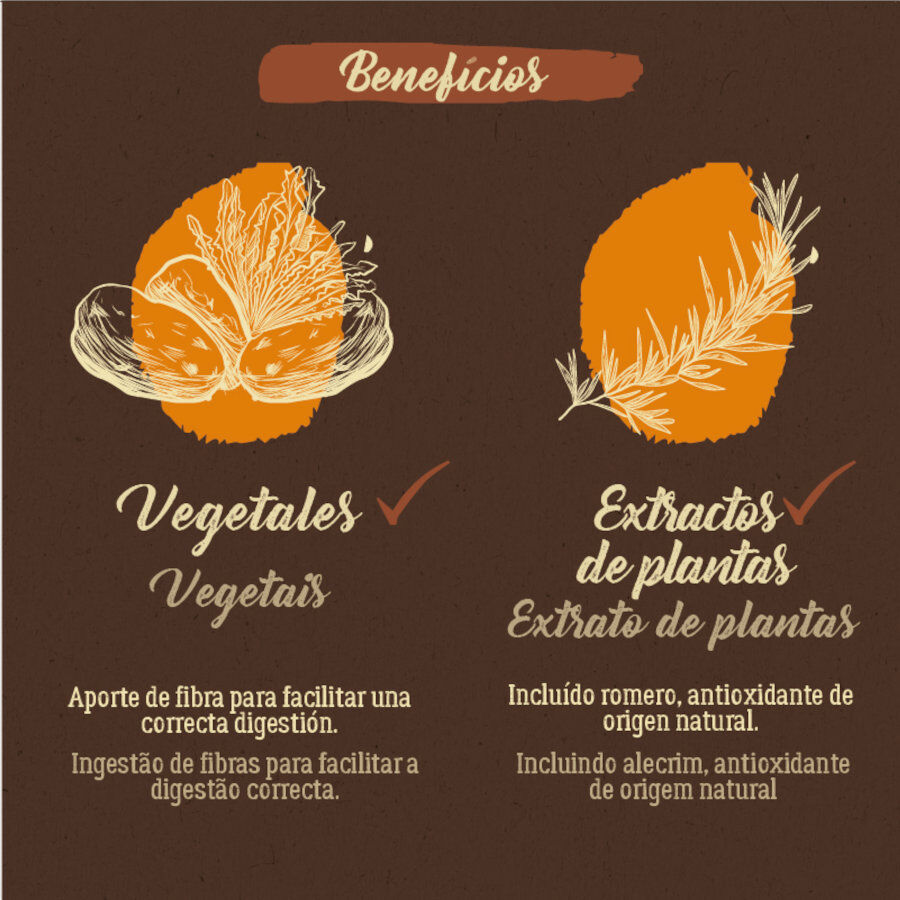 True Origins Pure Adult Sterilised Pollo pienso para gatos thumbnail