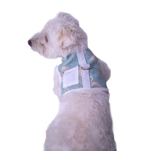 Arn&eacute;s Nicolas de dise&ntilde;o para perros color Amarillo, , large Imagen numero 3