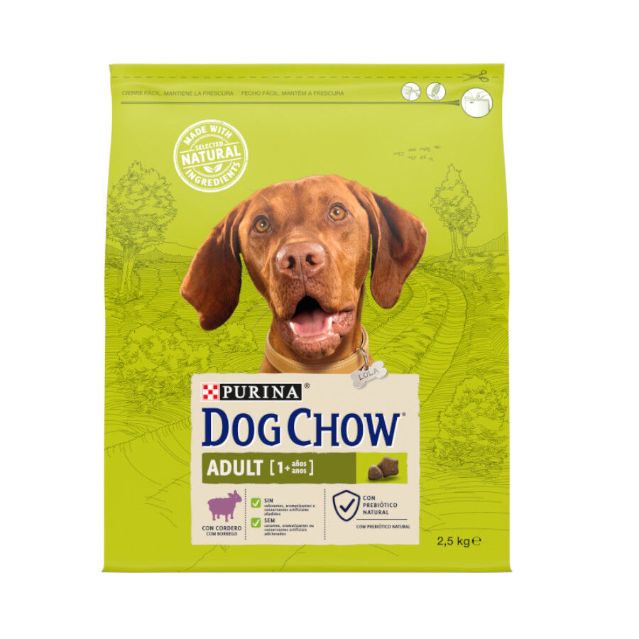 Dog Chow Adult Cordero pienso para perros