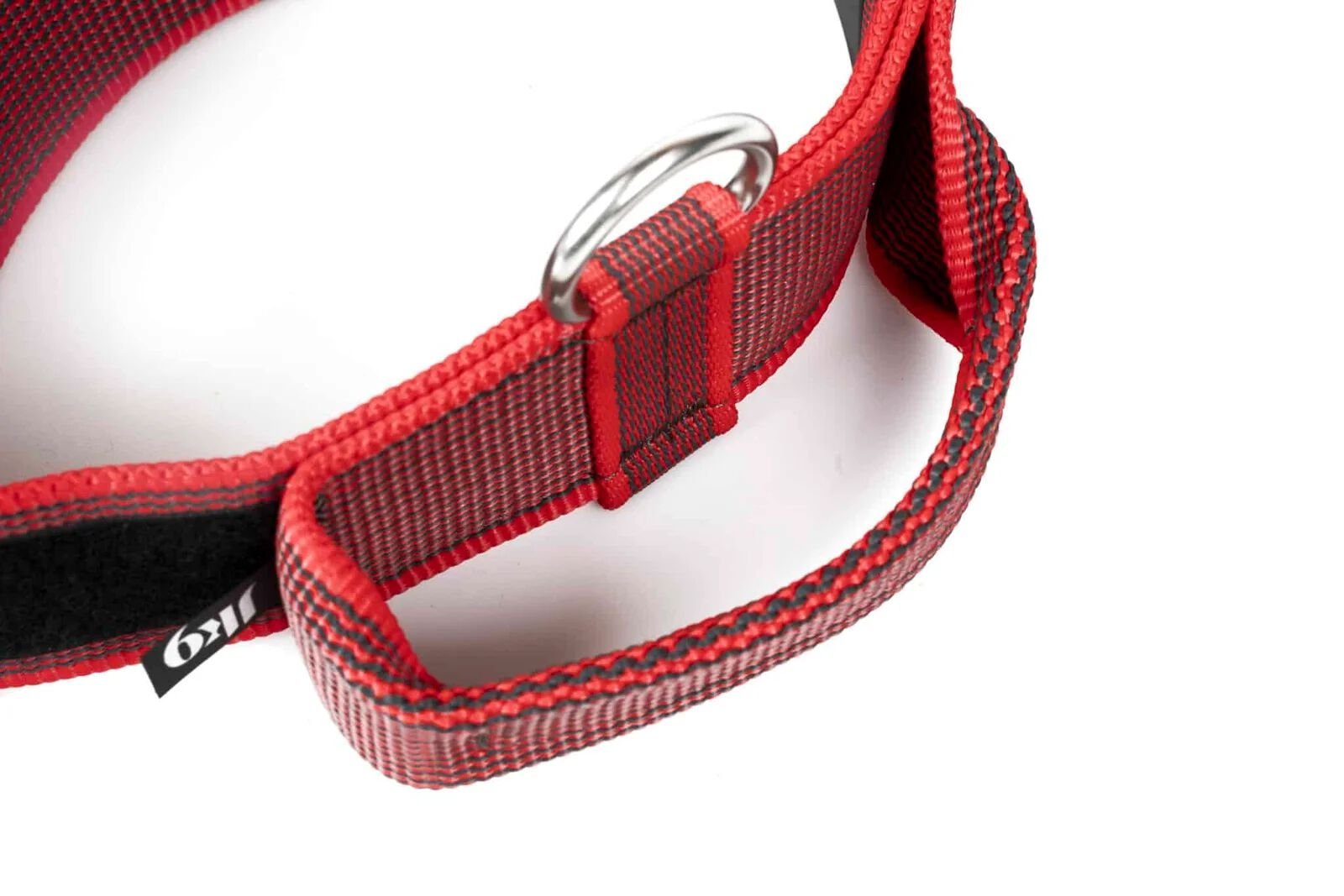 Collar Con Asa Y Doble Cierre Julius K9 Rojo, , large Imagen numero 3