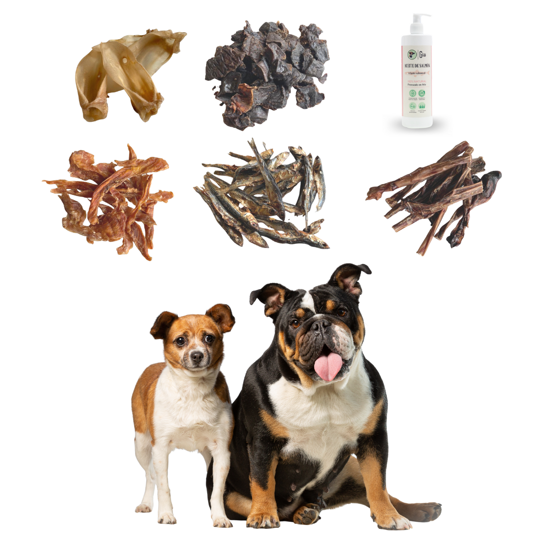 GLE PETS CAJA DE SNACKS NATURALES, REGALOS PARA PERROS, PREMIOS SALUDABLES, 5 BOSLAS VARIADAS + ACEITE DE SALM&Oacute;N PARA PERROS (250 ml) CAJA AMARILLA, , large Imagen numero 2