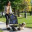 PawHut Cochecito para Perros Plegable Carrito para Perros Pequeños con Ruedas Universales Cesta de Almacenaje Correas de Seguridad y Ventanas 67x45x96 cm Azul Oscuro, , large indicador imagen numero 2