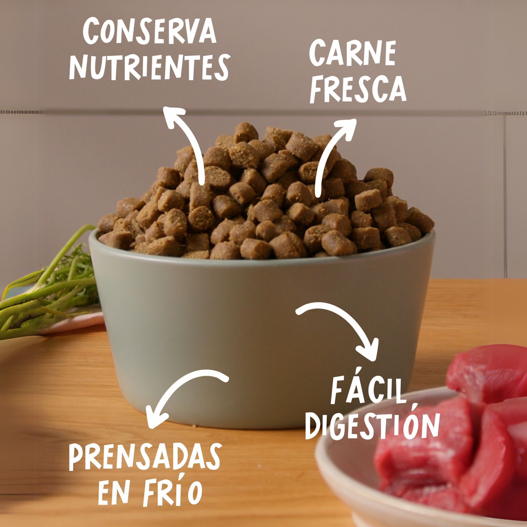Cocosi Comida semih&uacute;meda para perros sabor pescado 3kg, , large Imagen numero 3