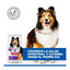 14 kg Hill's Science Plan Sensitive Stomach y skin Adult Pollo pienso para perros, , large indicador imagen numero 4