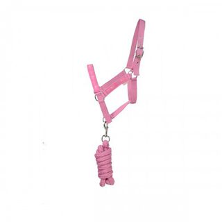 Cabezada y soga de guía infantil para caballos color Rosa cameo
