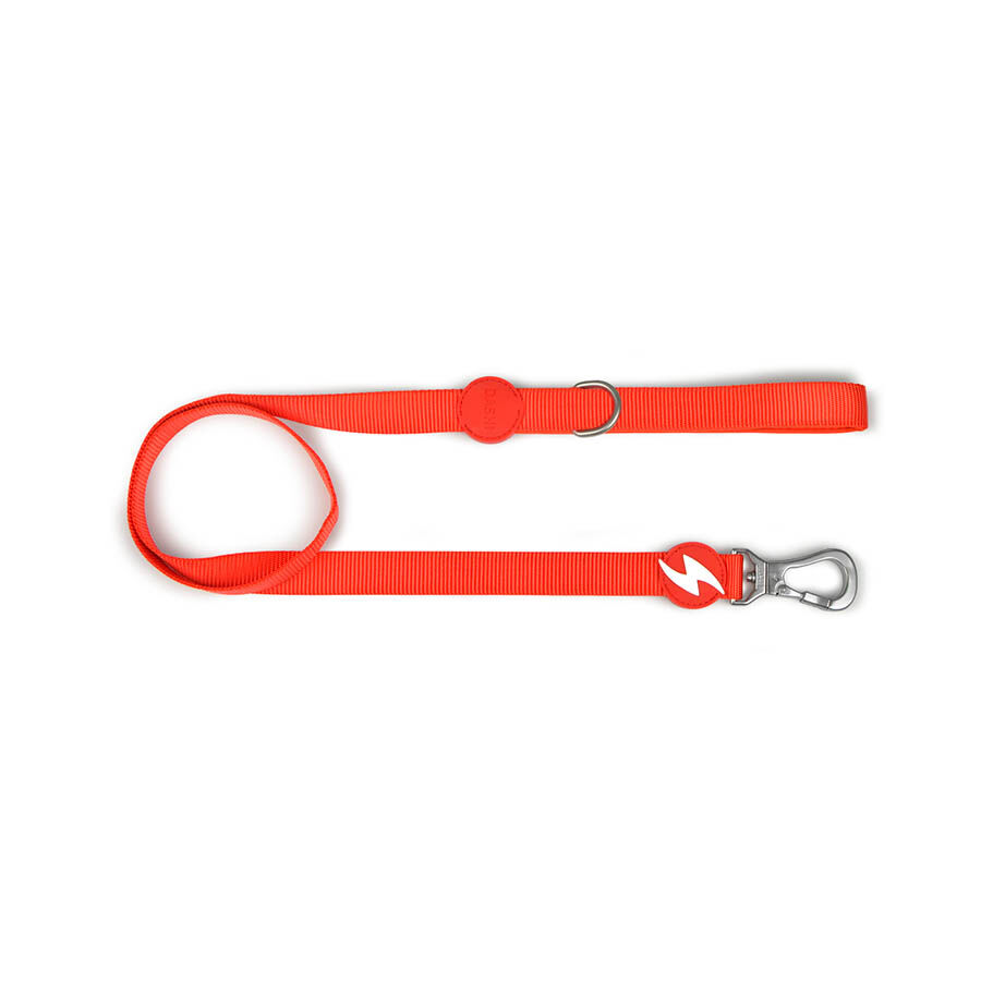 Correa de nylon para perros color Rojo, , large Imagen numero 1