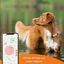 Weenect XS - GPS para perro (Blanco), , large indicador imagen numero 2