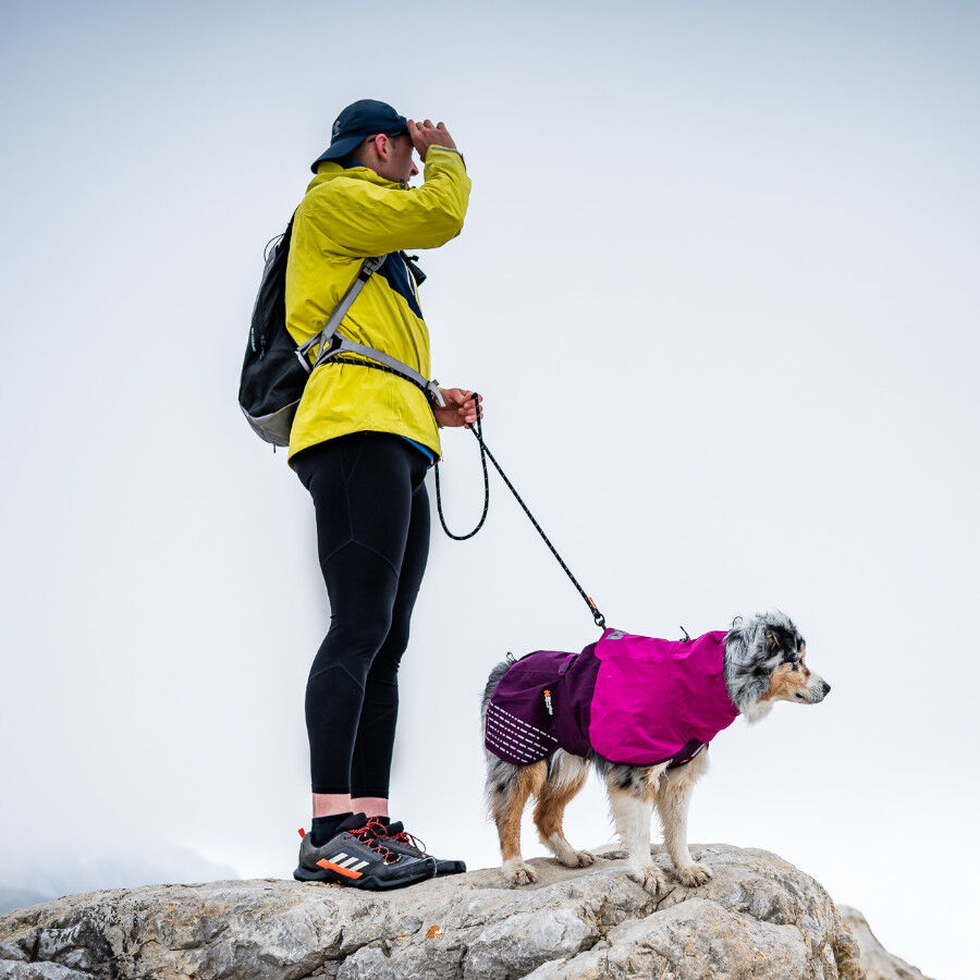 Non-stop dogwear Fjord Chubasquero Impermeable P&uacute;rpura para perros, , large Imagen numero 3