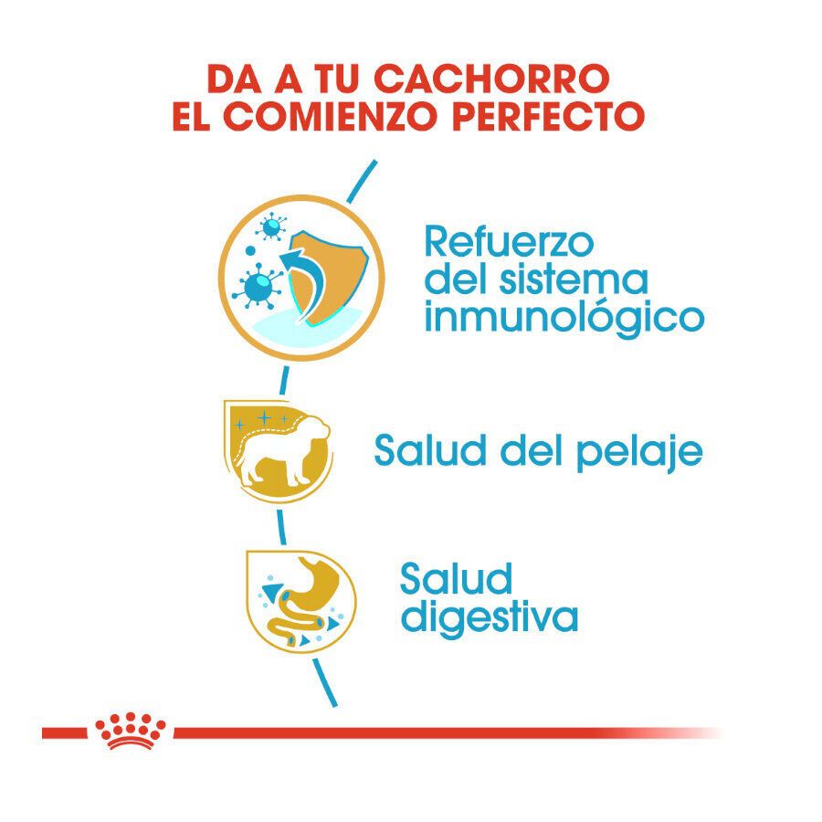 Royal Canin Puppy Yorkshire Terrier pienso para cachorros thumbnail