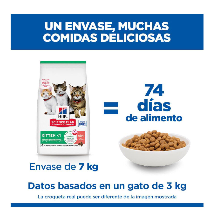 1.5 kg Hill's Science Plan Pienso Salm&oacute;n para gatitos, , large Imagen numero 5