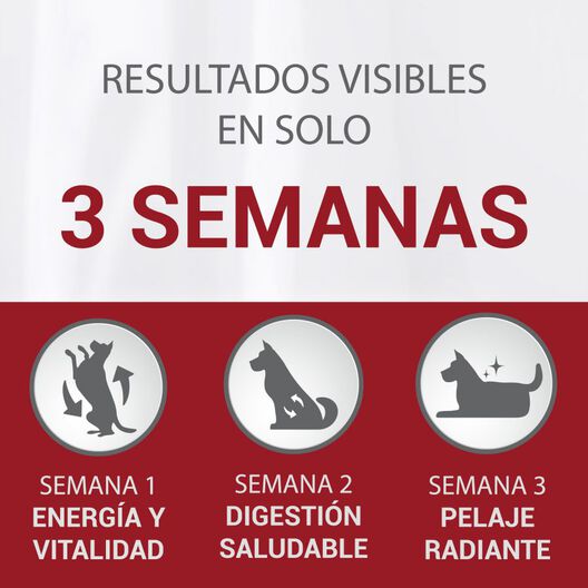 Purina One Mini Active Pollo pienso para perros, , large image number null