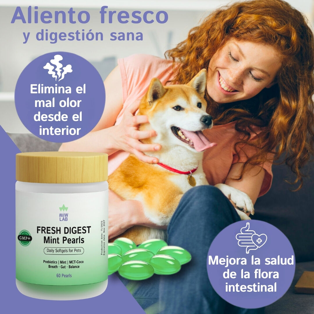 Prebioticos con Menta para el Mal Aliento de Perros y Gatos | Suplemento Veterinario con Enzimas para Salud Digestiva Completa Perro y Gato Reparador y Refrescante Flora Intestinal Olor Placa y Sarro thumbnail