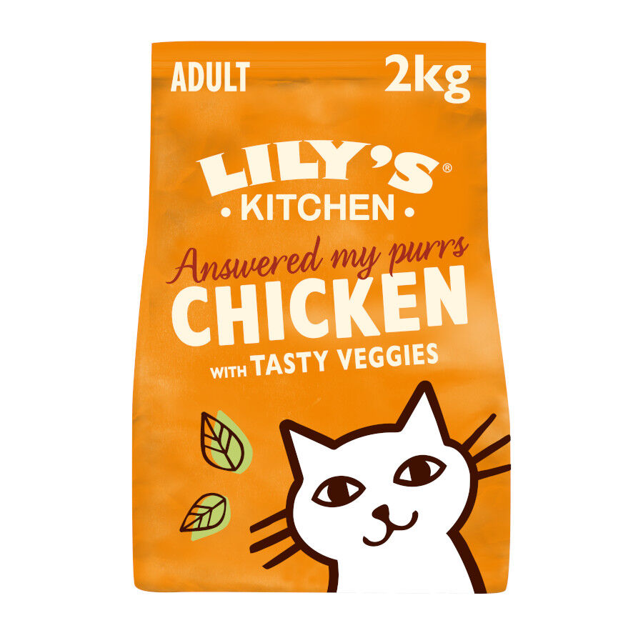 Lily's Kitchen Grain Free Pollo pienso para gatos