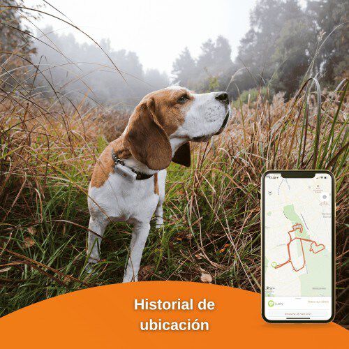 Localizador Weenect GPS Dogs&sup2; para perros, , large Imagen numero 5
