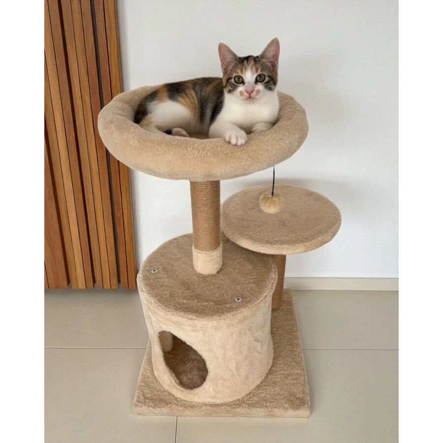 Althea Living - Cama &Aacute;rbol para Gatos N&aacute;car, madera maciza y yute, , large Imagen numero 3