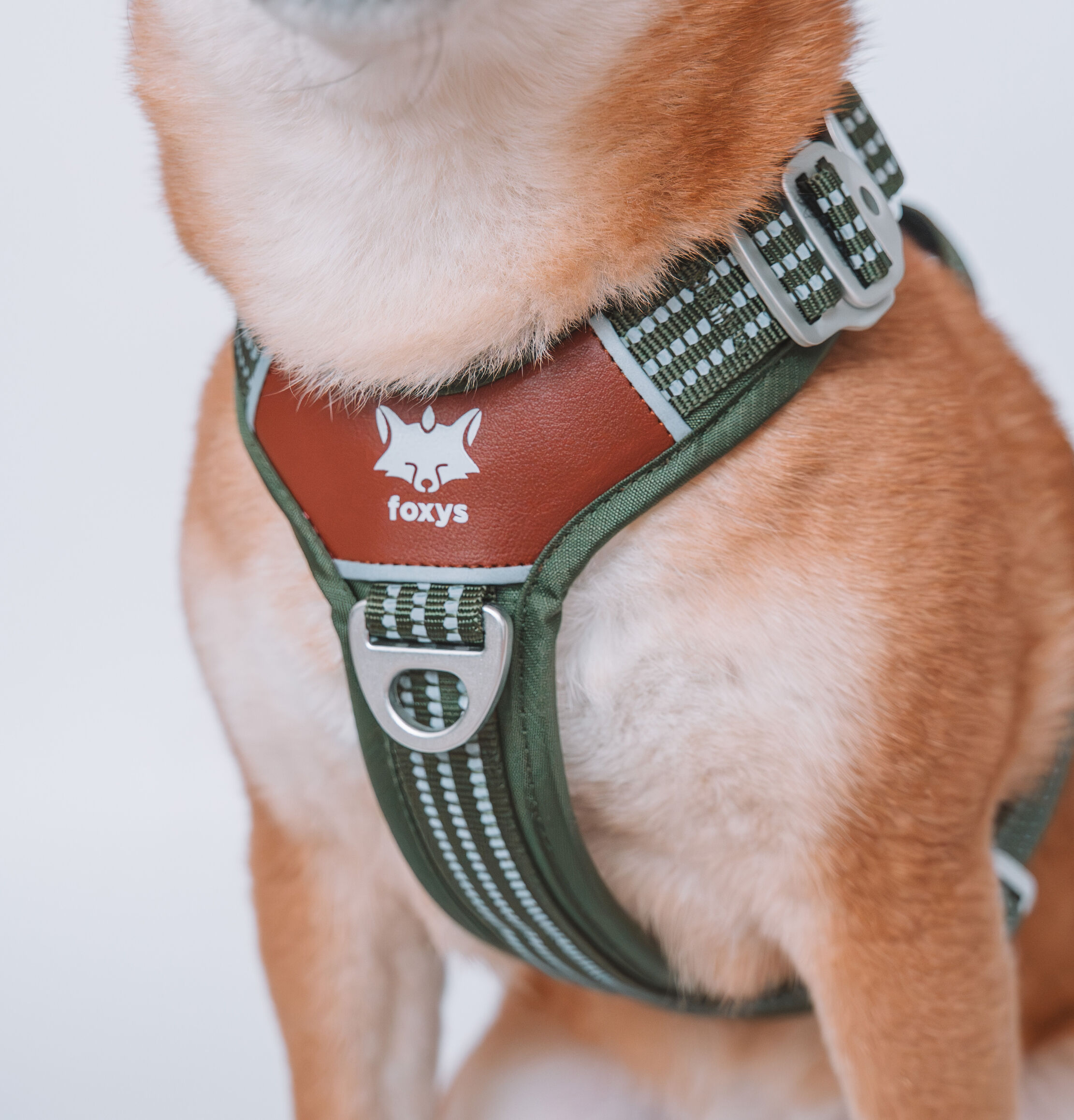 CountryFox PRO Arn&eacute;s | Matcha Verde, , large Imagen numero 2