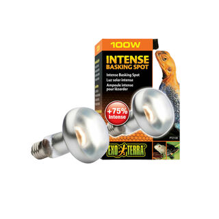 Exo Terra Intense Basking Spot Bombilla de luz solar