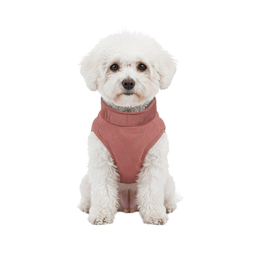Gotoo Chaqueta Rosa para perros, , large Imagen numero 7