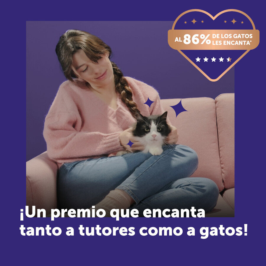 6 barritas Feliway Ceva Happy Snack Salm&oacute;n para gatos, , large Imagen numero 8